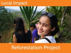 Reforestation Project